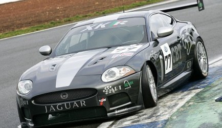 jaguar Gepeperde Jaguar 0