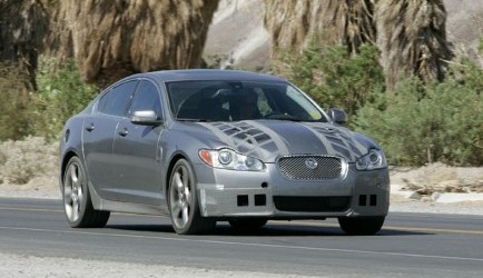 jaguar xf Roofkat in de aanval - Jaguar XF-R onderweg