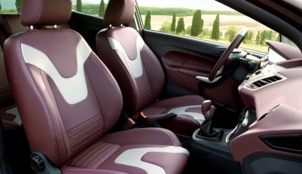ford fiesta Leder en meer voor Ford Fiesta Individual 0