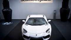 Pon nu ook importeur van Lamborghini