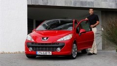 Stijging autoverkopen, Peugeot 207 aan kop