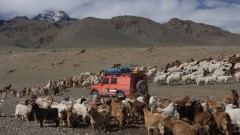 Land Rover G4 Challenge trekt naar Mongoli�