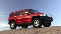Hummer helpt Stichting de Opkikker