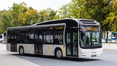Meer elektrische stadsbussen dankzij MAN