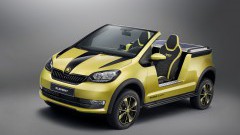 Skoda in z'n Element