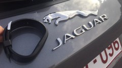 Sleutel aan je pols met Jaguar Activity Key