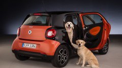 Smart for dogs de ideale auto voor honden