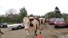 Tulpenrallye 2014: Dag 2 in volle vaart vooruit