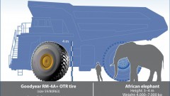 Zwart, sterk en net zo groot als een olifant...
