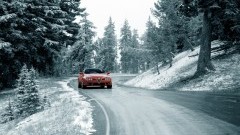 Winterchecks bij Alfa en Nissan van start