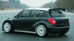 Skoda Fabia Super 2000 - pittig!