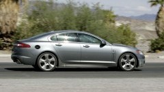Roofkat in de aanval - Jaguar XF-R onderweg