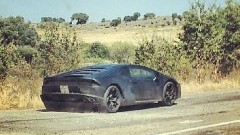Lamborghini Cabrera wederom in het wild