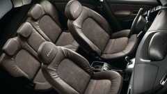 Lancia Musa wordt groener