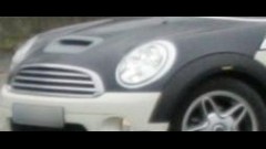 Nieuw neusje voor Mini's
