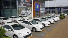 De leeuw is los - eerste exemplaren Peugeot 308 CC afgeleverd
