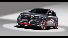 Trots tentoongesteld - Uit de kluiten gewassen Audi Q5 met 408 pk!