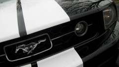 Attention please! - Ford Mustang