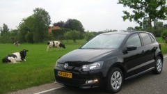 Geluksvogel - Volkswagen Polo BlueMotion 1.2 TDI