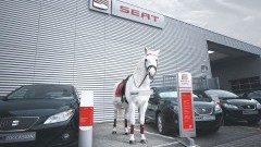 Seat speelt voor Sinterklaas