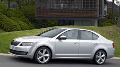 Skoda Octavia 1.6 TDI Greenline ook 14%