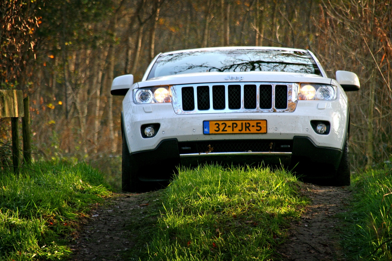 AutoVandaag viert in samenwerking met Athlon 100 jaar mobiliteit. In dit artikel staat de SUV centraal, ofwel de Sports Activity Vehicle.