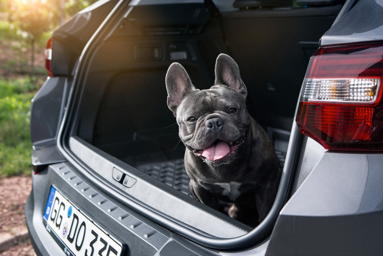 Opel levert tal van handige accessoires voor de Grandland X