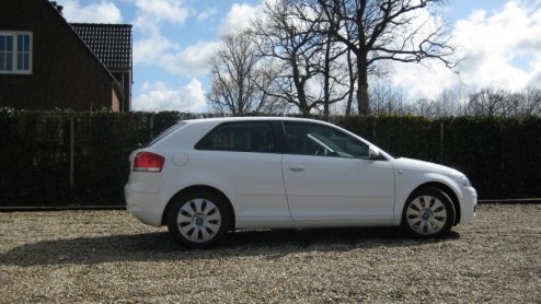 Audi is vorig jaar gestart met de levering van 'efficiency' modellen. Het zijn uitvoeringen van enkele bestaande Audis die dankzij een reeks aanpassingen een lager brandstofverbruik en gereduceerde C