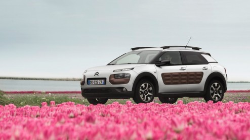 Rijtest Citron C4 Cactus 1.2 PureTech 110 en e-HDi 90. De nieuwe crossover van Citron laat zien hoe vernieuwing leidt tot een eigenzinnige details, een lager gewicht en een gunstige prijs.