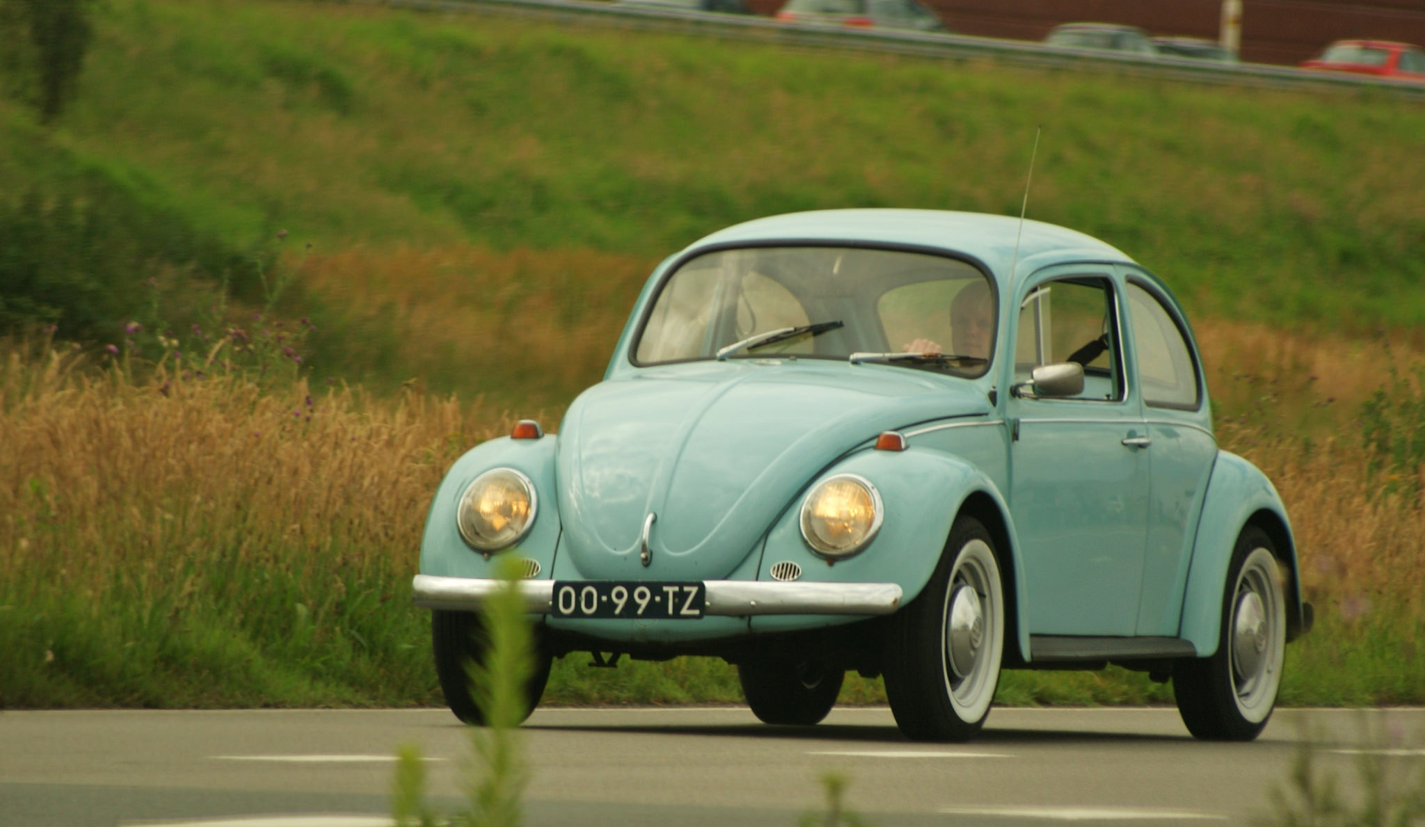 Echte klassiekers van 40 jaar en ouder raken steeds populairder. Zowel de import als verkoop is de laatste jaren flink gestegen. Deze oldtimers zijn het meest populair.