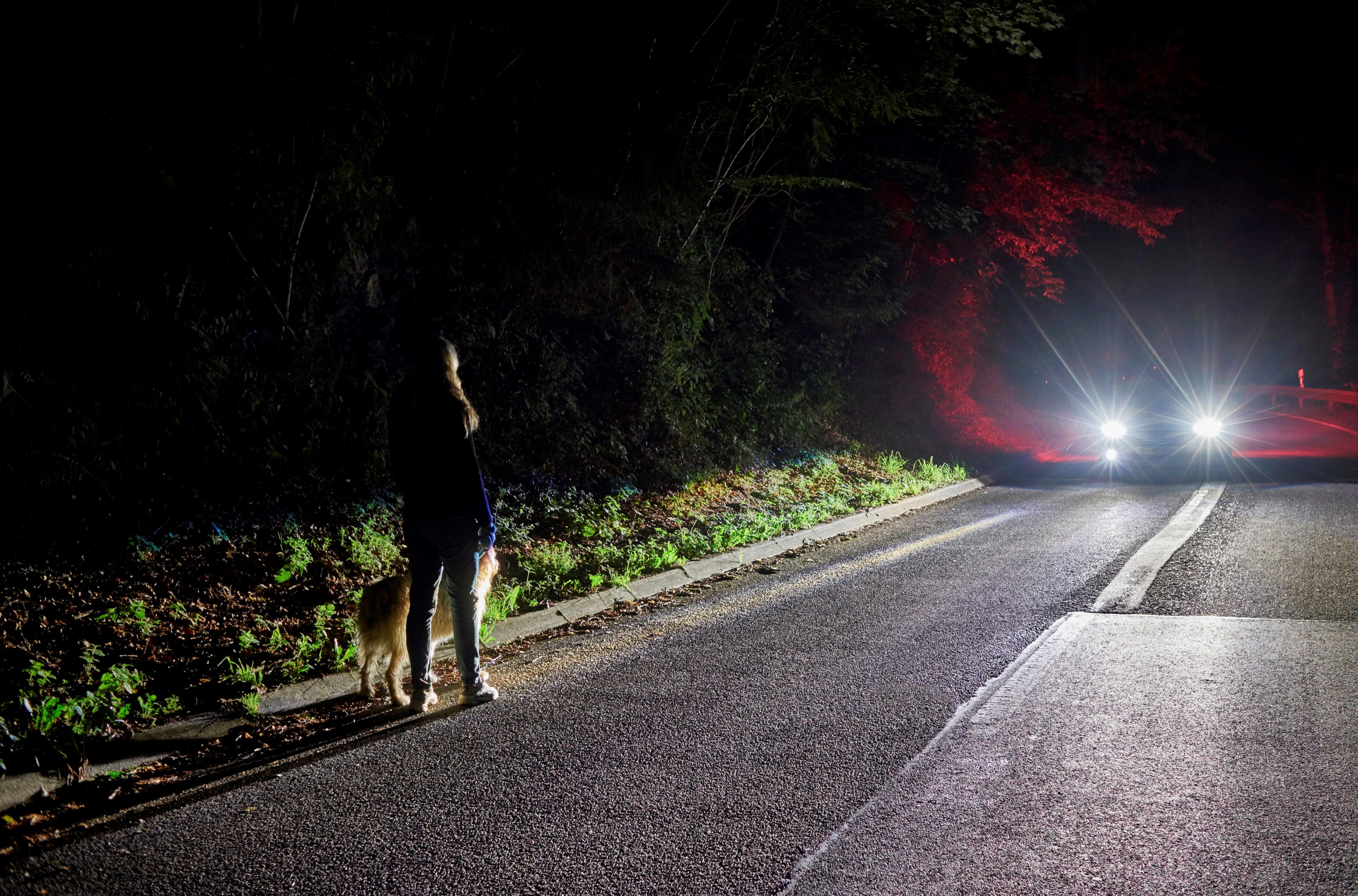 Ford maakt rijden in de nacht nog veiliger met Advanced Front Lighting en Sport Lighting om wegen, rotondes, voetgangers, fietsers en dieren te detecteren en te verlichten.