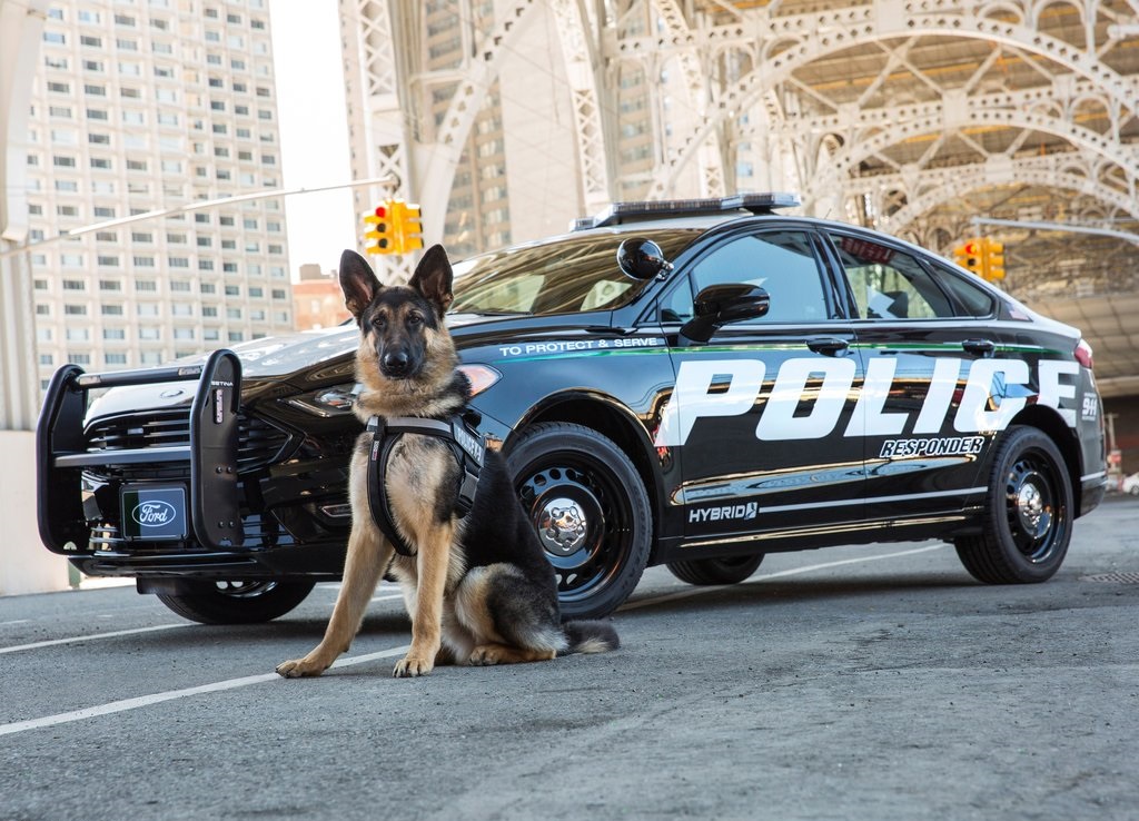Ford presenteert de nieuwe lichting Amerikaanse Police Interceptors. Daar zit ook een primeur bij, want Ford levert de eerste hybride politieauto geschikt voor achtervolgingen.