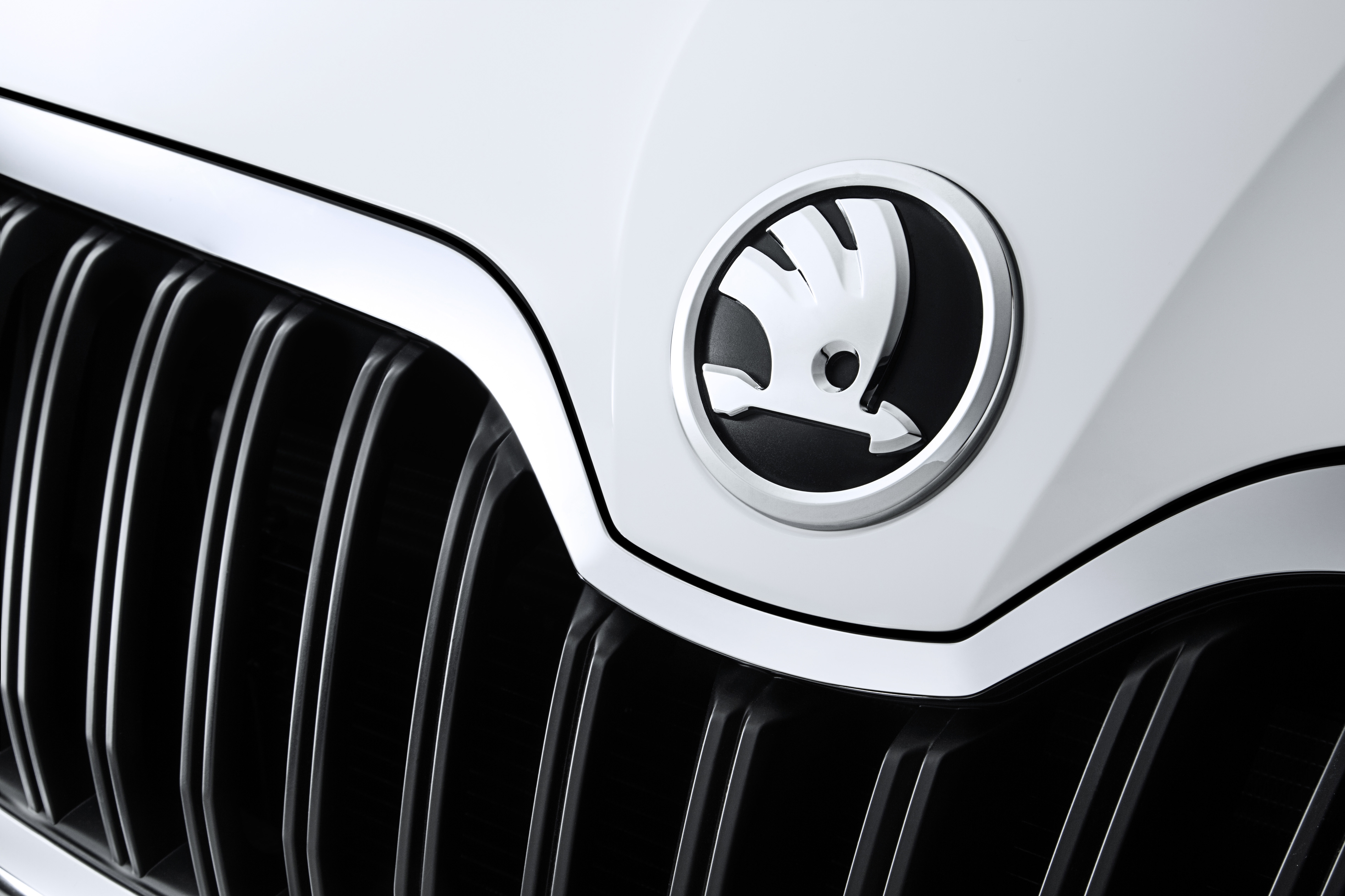Skoda ziet van hun eigen Caddy af en introduceert in 2016 wel een grote SUV onder de naam Skoda Kodiak.
