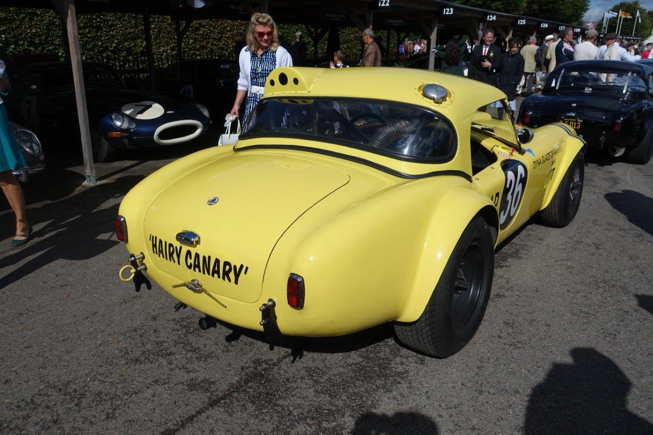 De jaarlijkse Goodwood Revival op het gelijknamige circuit vormt een verzameling bijzondere auto's en mensen waar iedere klassiekerliefhebber graag een keer deel van uitmaakt.