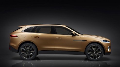 Jaguar heeft in september op de IAA in Frankfurt de CX-17 aan het grote publiek getoond. Op de Guangzhou Motor Show 2013 is een doorontwikkeling van deze SUV te zien.