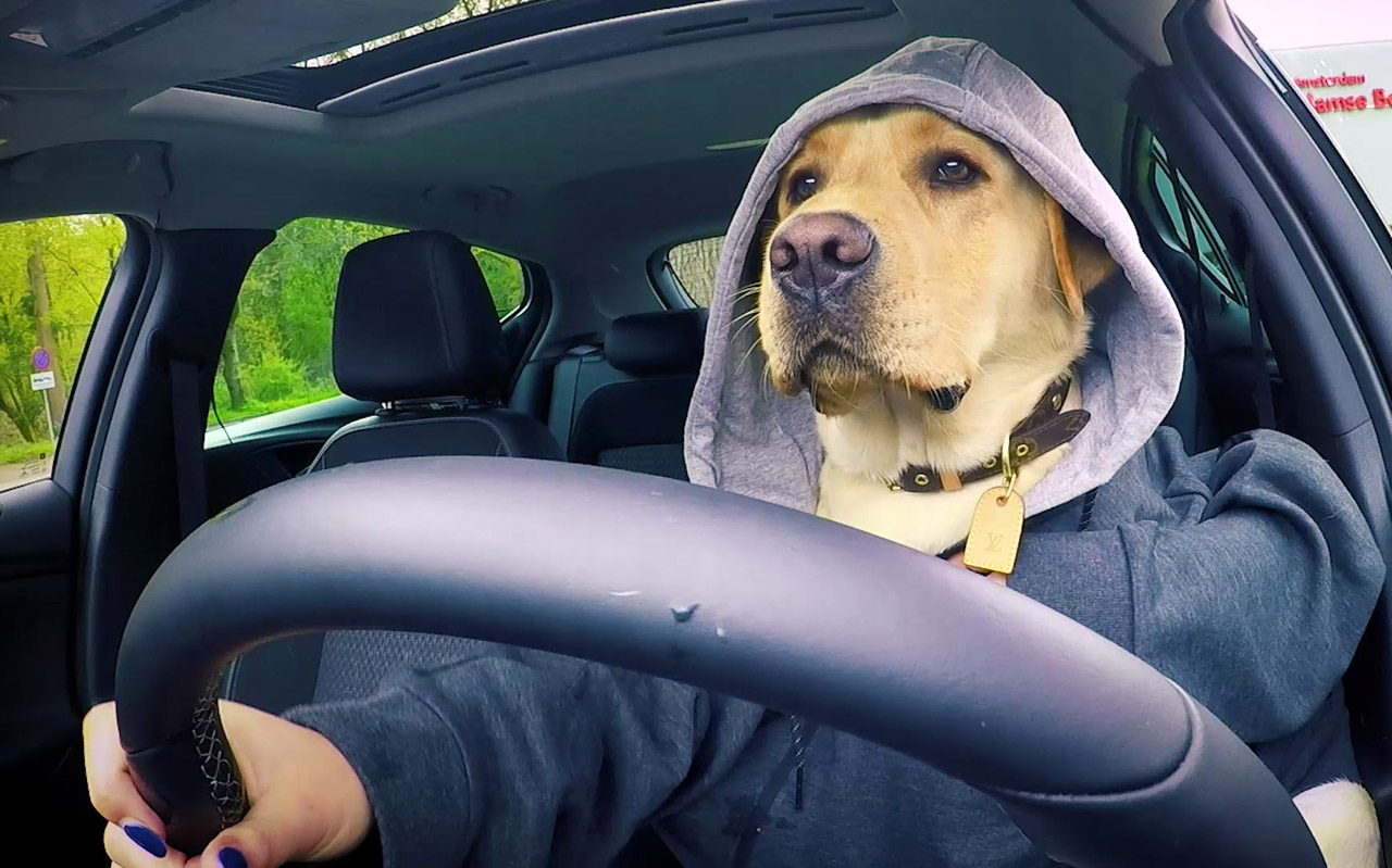 Opel heeft een bijzondere actie. Wie tijdens een proefrit een leuke vlog maakt en op youtube plaatst kan afrekenen met views.