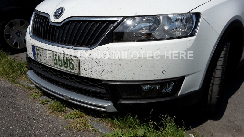Skoda Rapid Spaceback doet stoer, mogelijk als Scout.