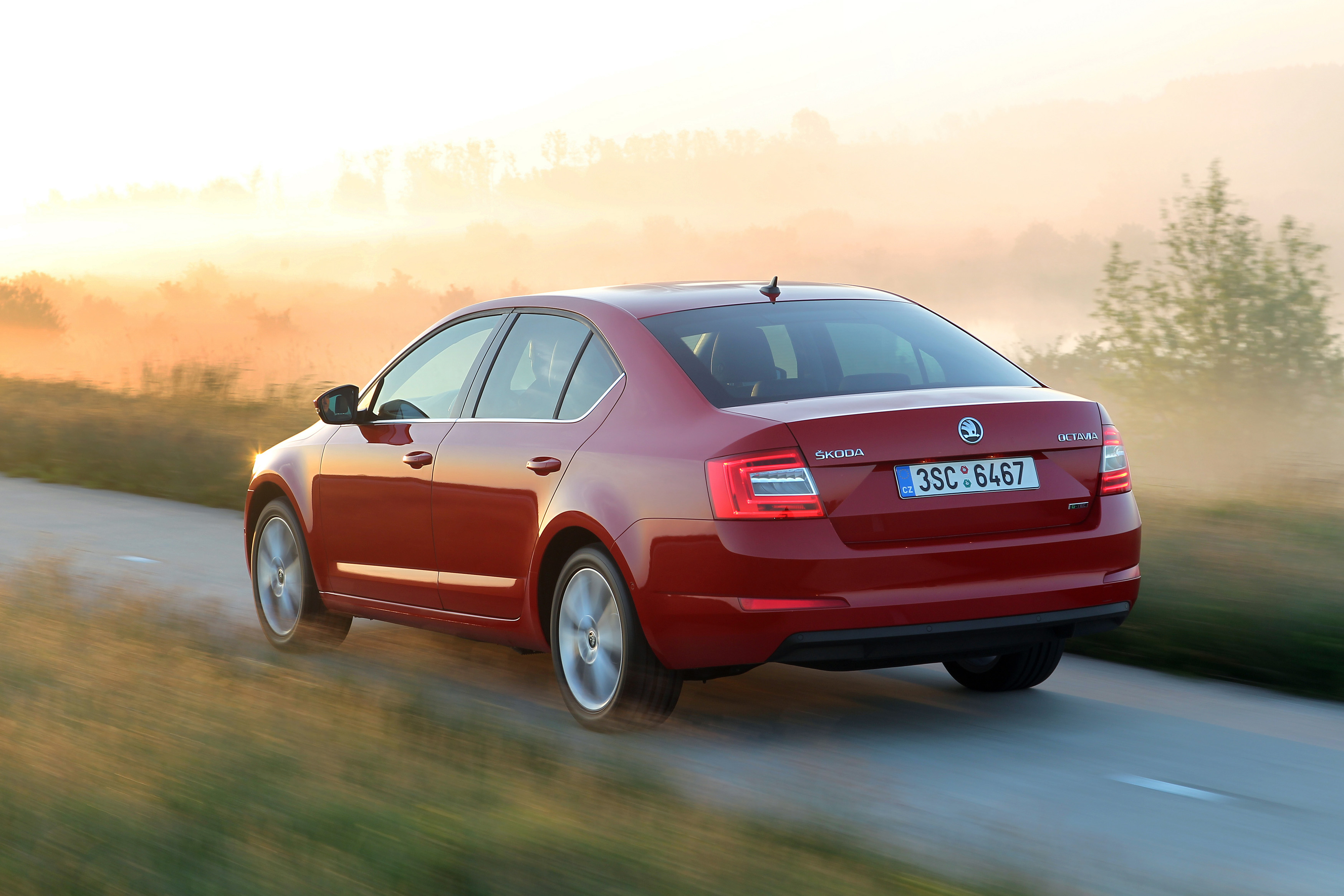 Skoda is klaar voor de Tour de France met Edition-modellen van de Citigo, Fabia, Rapid, Octavia en Yeti.