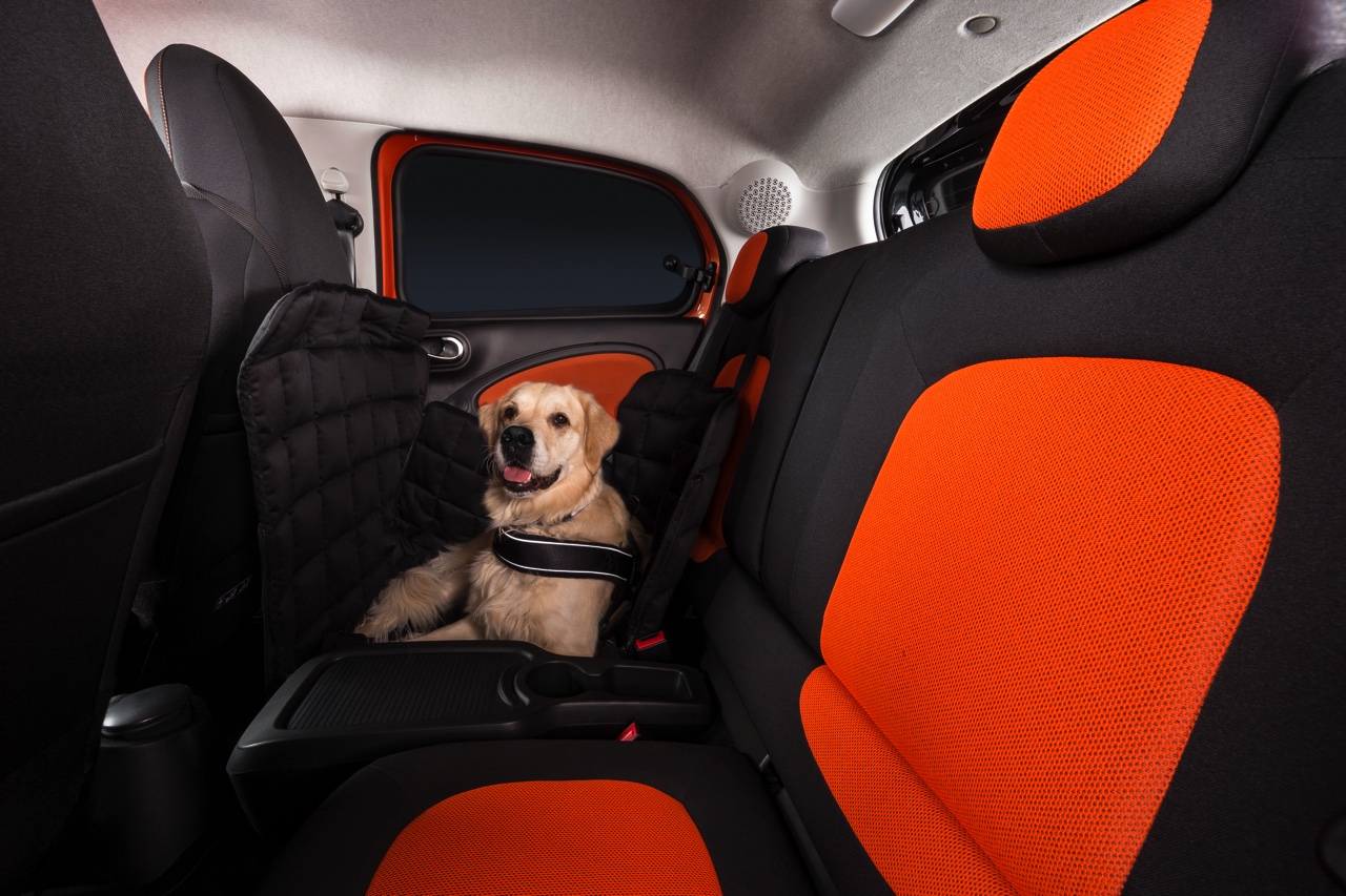 Smart for dogs is een forfour met ready space achterbank, die de instap voor honden makkelijk, schoon en veilig maakt.