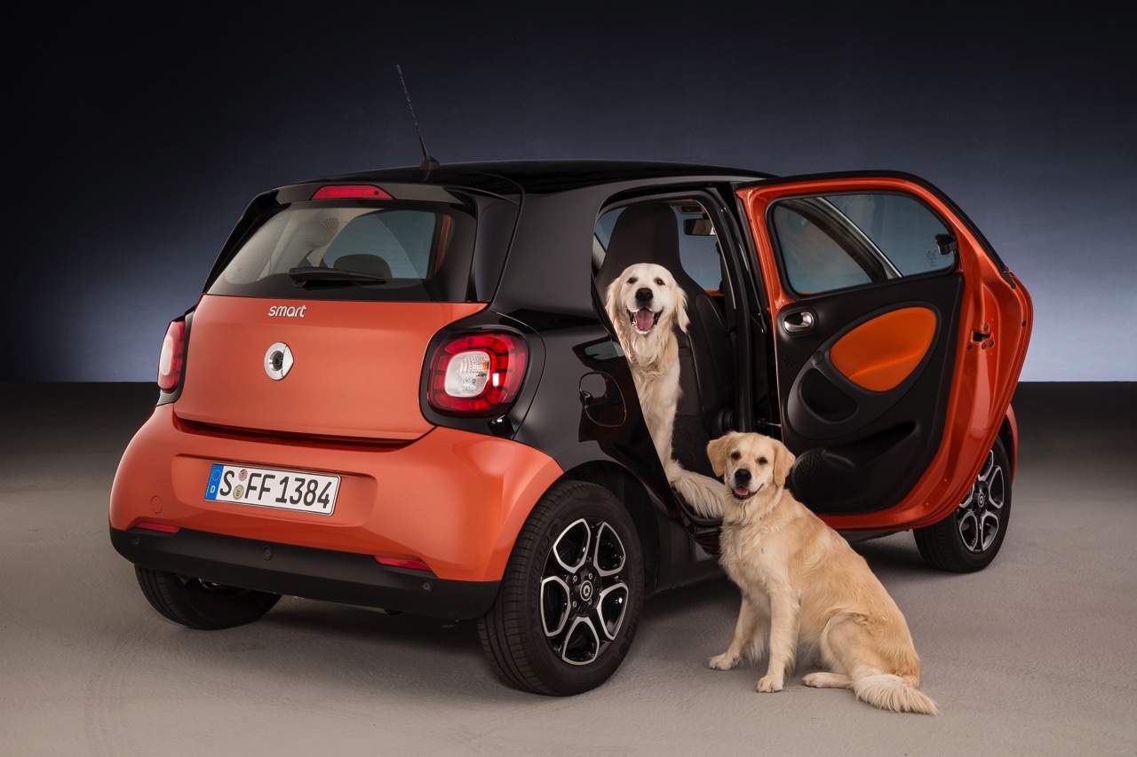 Smart for dogs is een forfour met ready space achterbank, die de instap voor honden makkelijk, schoon en veilig maakt.