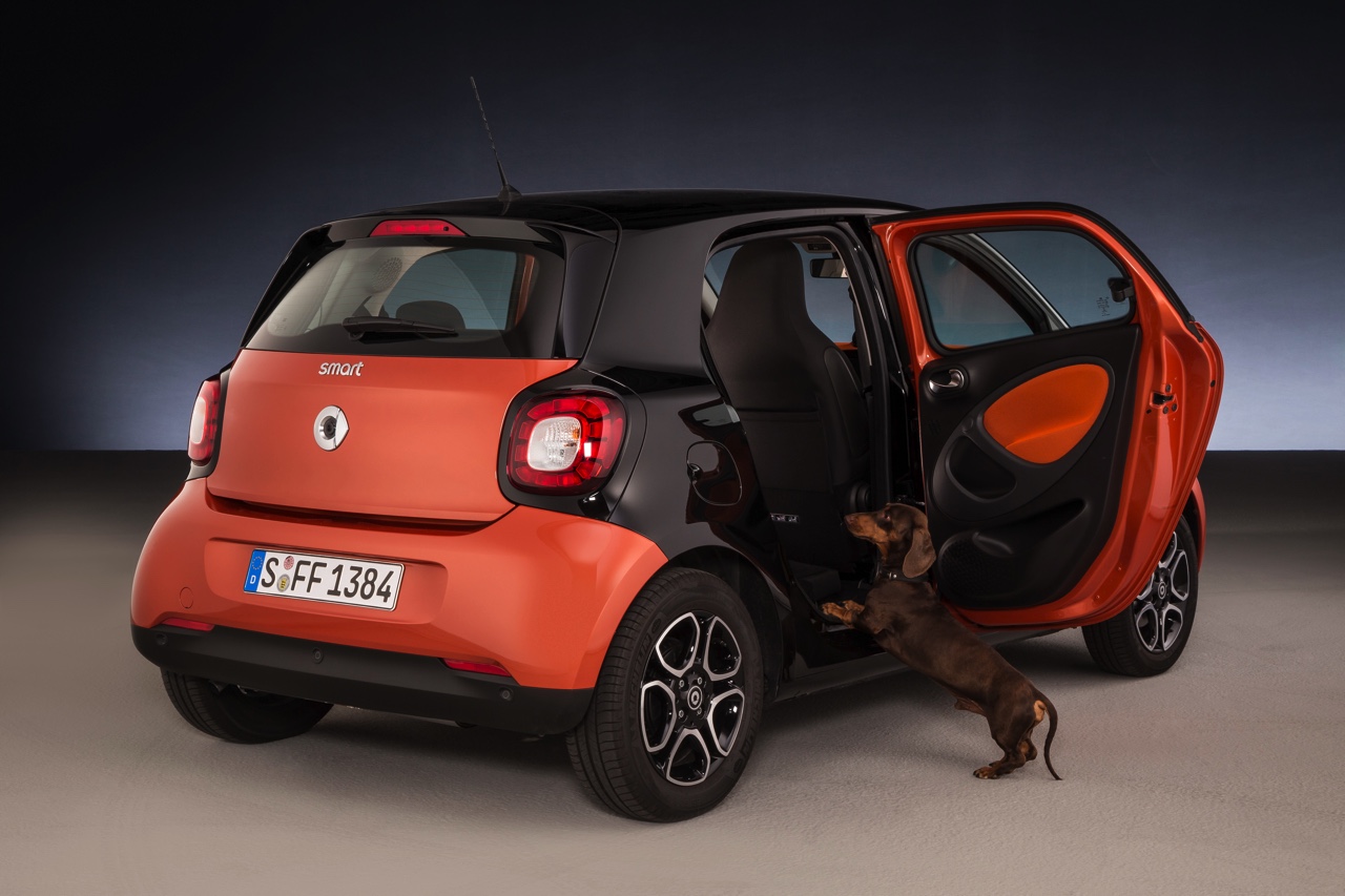 Smart for dogs is een forfour met ready space achterbank, die de instap voor honden makkelijk, schoon en veilig maakt.