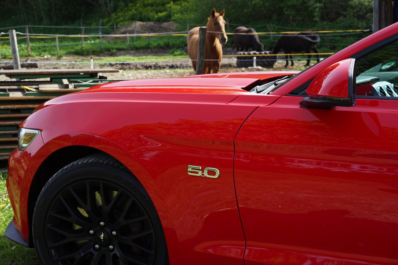 Autotest Ford Mustang 2.3 EcoBoost en 5.0 V8. We reden in Munchen met de nieuwe Ford Mustang, die je koopt als viercilinder maar eigenlijk wilt hebben als achtcilinder.