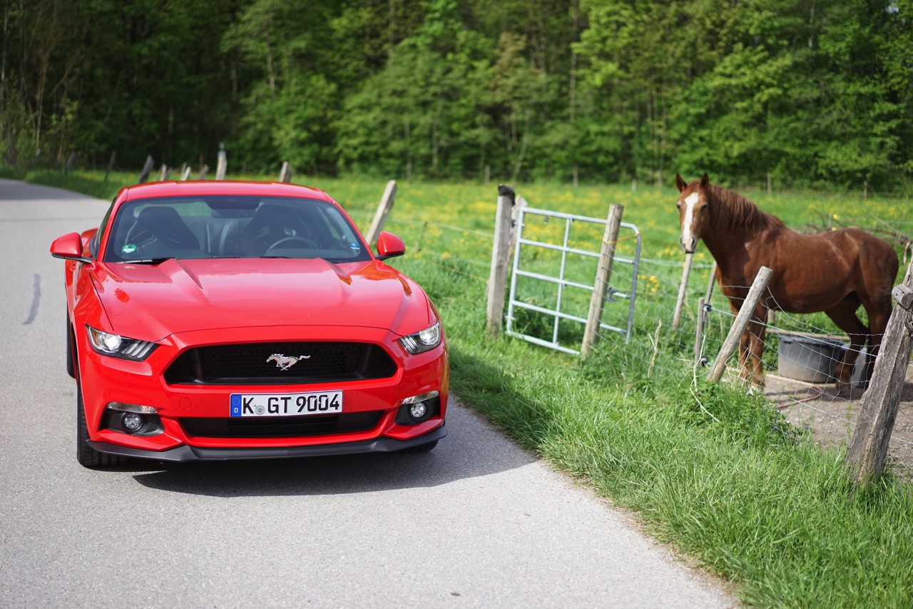 Autotest Ford Mustang 2.3 EcoBoost en 5.0 V8. We reden in Munchen met de nieuwe Ford Mustang, die je koopt als viercilinder maar eigenlijk wilt hebben als achtcilinder.