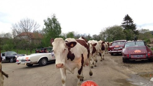 Tulpenrallye 2014 dag 2 verslag van het AutoVandaag-team