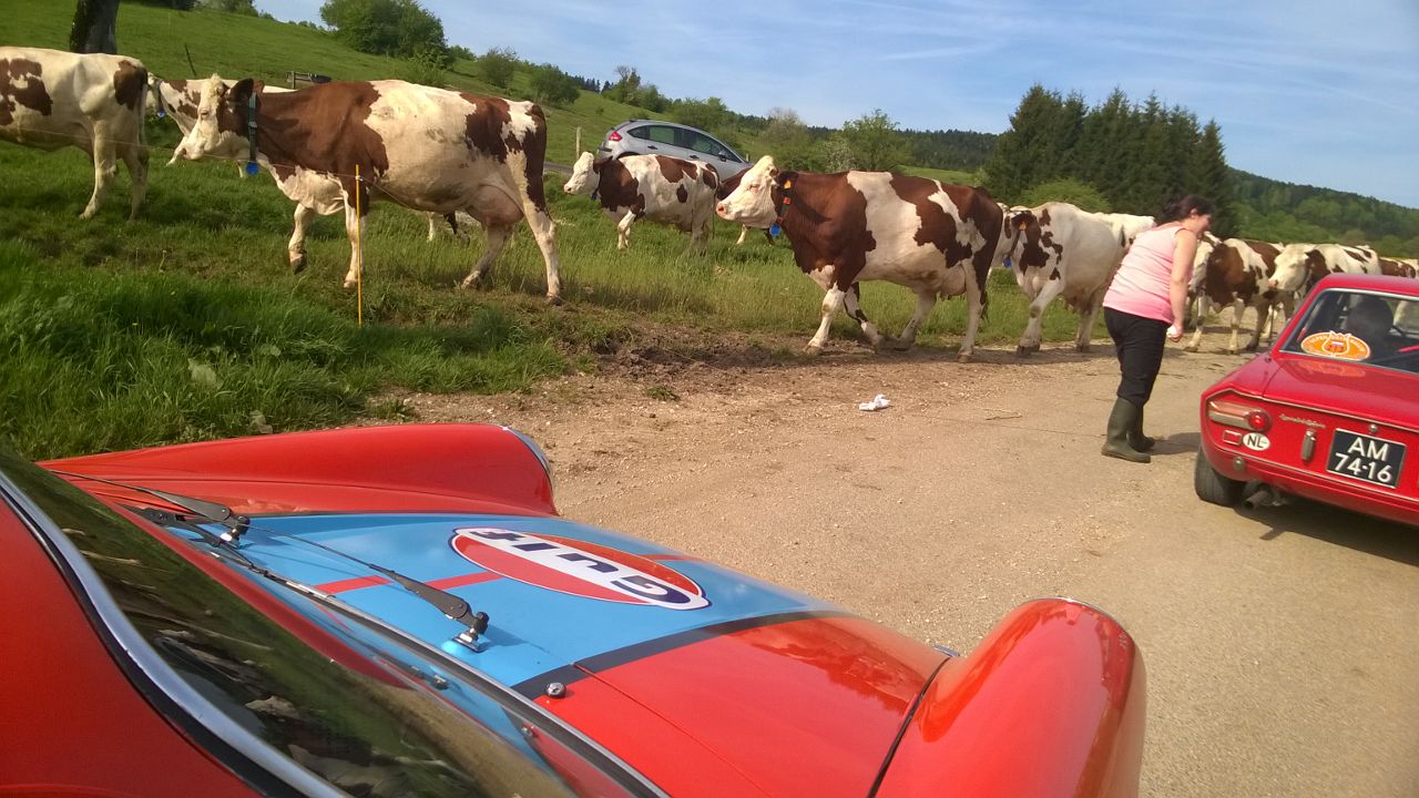 Dagverslag Tulpenrallye 2015 van Team AutoVandaag.
