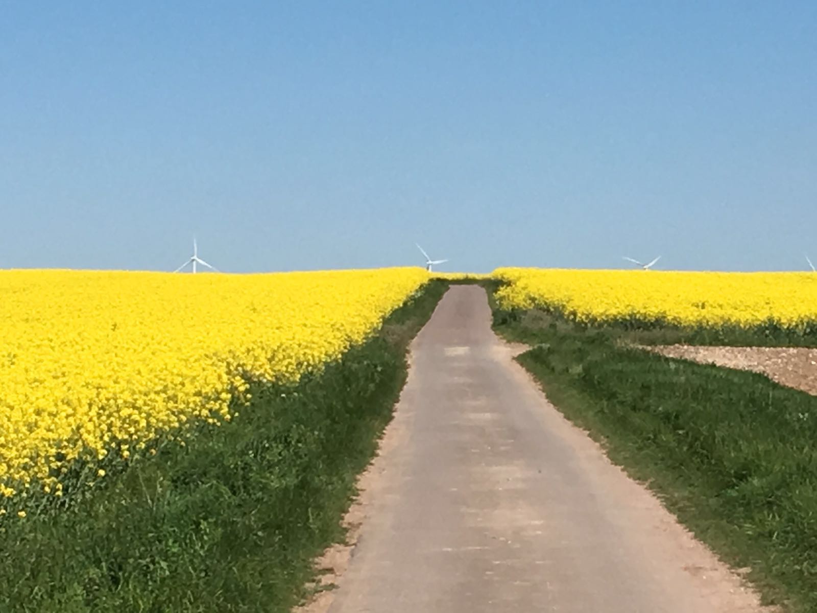 De vierde dag van de Tulpenrallye 2016 leidt door het geboorteland Frankrijk.