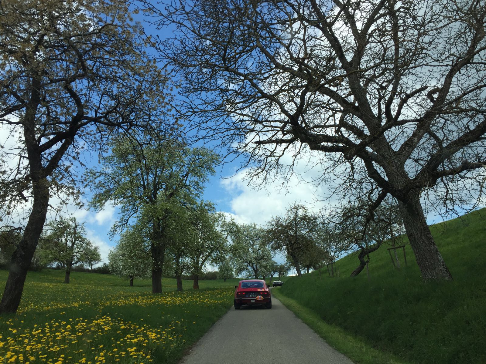De vierde dag van de Tulpenrallye 2016 leidt door het geboorteland Frankrijk.