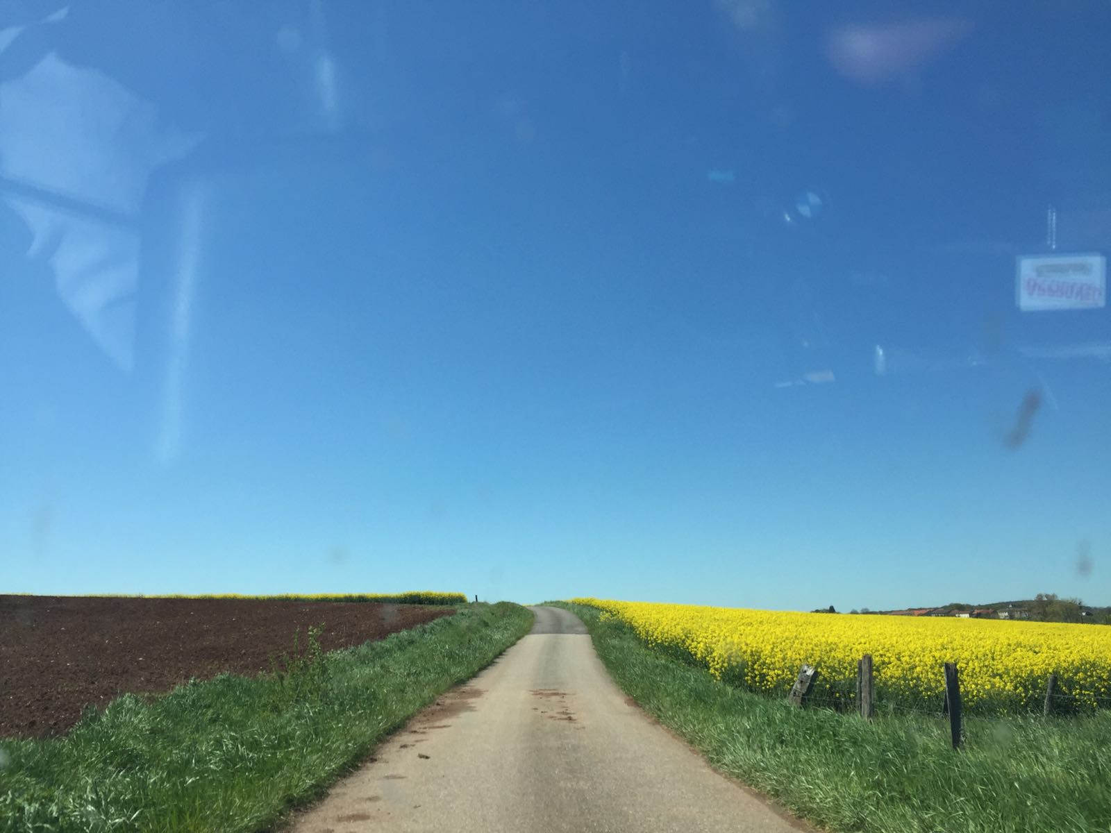De vierde dag van de Tulpenrallye 2016 leidt door het geboorteland Frankrijk.