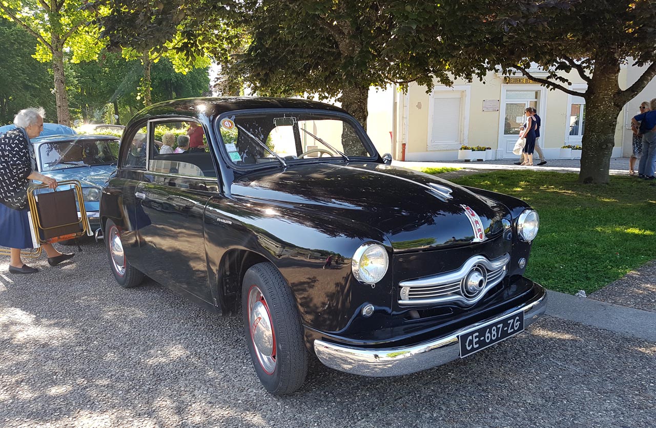Zo'n vijftig exemplaren van het midden jaren zestig verdwenen automerk Panhard kwamen afgelopen weekend samen in Frankrijk.
