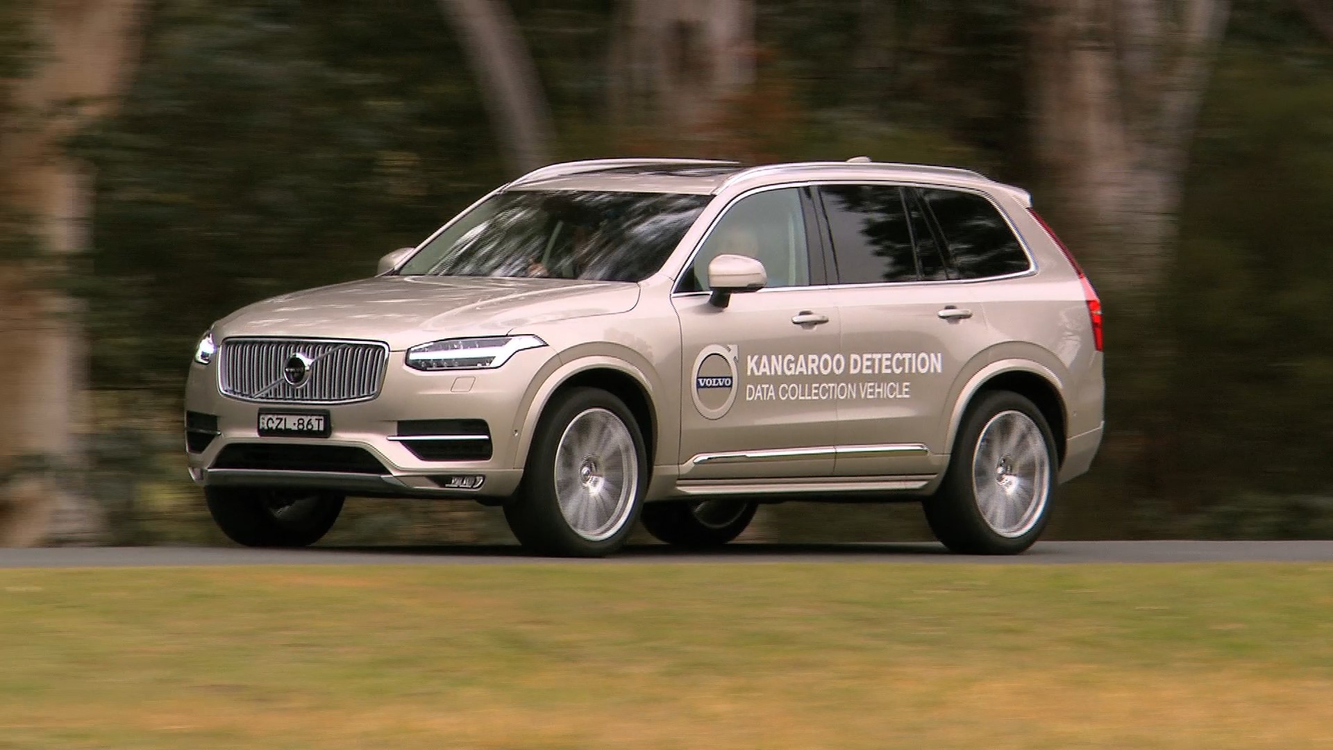 Volvo ontwikkeld kangoeroedetectie voor de markt in Australi?, zodat een aanrijding met een kangoeroe daadwerkelijk voorkomen kan worden.